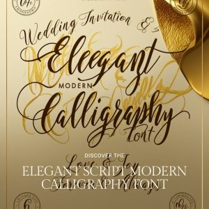 Elegant Script Modern Calligraphy Font